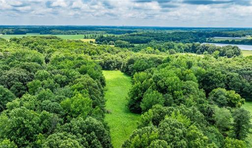 Photo #14 of 3635 Weeden, Staley, NC 37.8 acres
