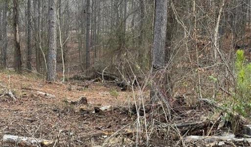 Photo #27 of 8061 Stroupe Farm, Tobaccoville, NC 5.5 acres
