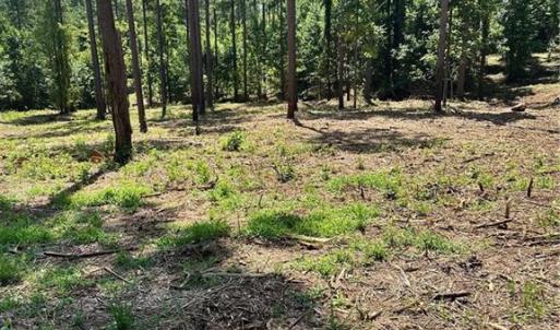 Photo #13 of 8061 Stroupe Farm, Tobaccoville, NC 5.5 acres