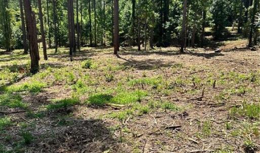 Photo #17 of 8061 Stroupe Farm, Tobaccoville, NC 5.5 acres