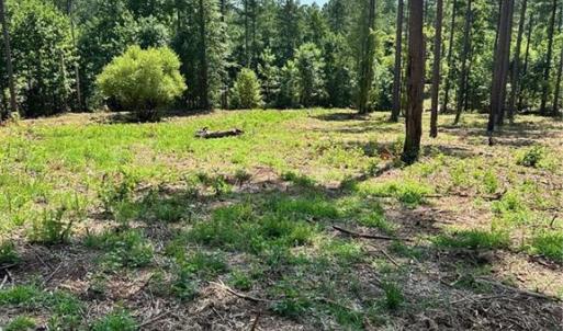 Photo #16 of 8061 Stroupe Farm, Tobaccoville, NC 5.5 acres