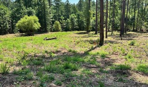 Photo #12 of 8061 Stroupe Farm, Tobaccoville, NC 5.5 acres