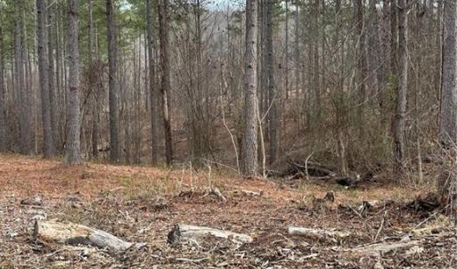 Photo #26 of 8061 Stroupe Farm, Tobaccoville, NC 5.5 acres