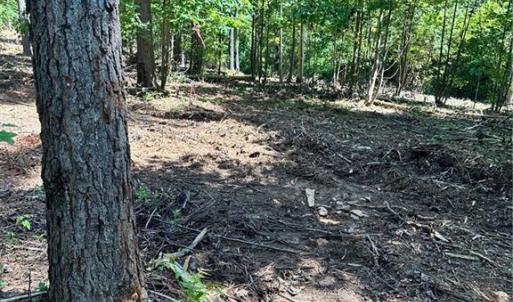 Photo #22 of 8061 Stroupe Farm, Tobaccoville, NC 5.5 acres