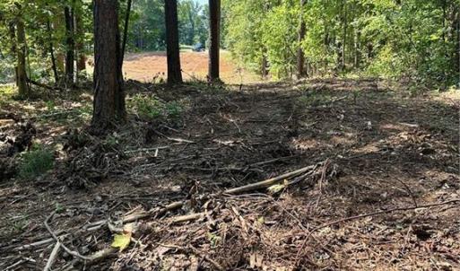 Photo #7 of 8061 Stroupe Farm, Tobaccoville, NC 5.5 acres