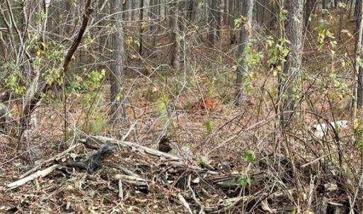 Photo #28 of 8061 Stroupe Farm, Tobaccoville, NC 5.5 acres