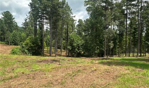 Photo #5 of 8061 Stroupe Farm, Tobaccoville, NC 5.5 acres