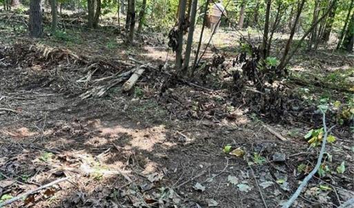 Photo #20 of 8061 Stroupe Farm, Tobaccoville, NC 5.5 acres
