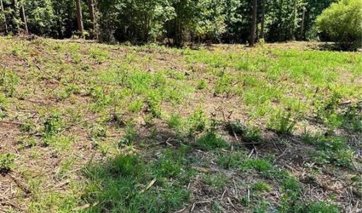 Photo #9 of 8061 Stroupe Farm, Tobaccoville, NC 5.5 acres