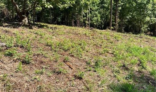 Photo #10 of 8061 Stroupe Farm, Tobaccoville, NC 5.5 acres