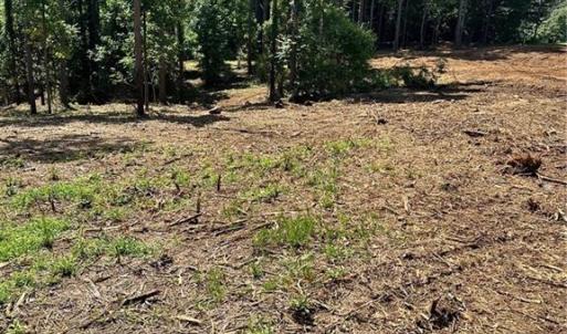 Photo #14 of 8061 Stroupe Farm, Tobaccoville, NC 5.5 acres