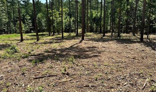 Photo #18 of 8061 Stroupe Farm, Tobaccoville, NC 5.5 acres
