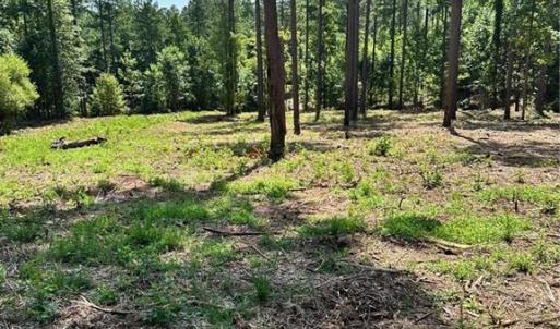 Photo #15 of 8061 Stroupe Farm, Tobaccoville, NC 5.5 acres