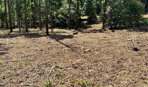 Photo #19 of 8061 Stroupe Farm, Tobaccoville, NC 5.5 acres