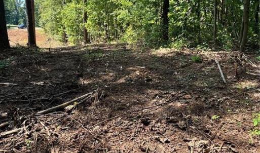 Photo #8 of 8061 Stroupe Farm, Tobaccoville, NC 5.5 acres