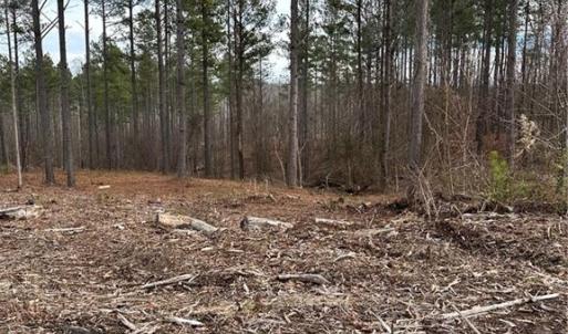 Photo #25 of 8061 Stroupe Farm, Tobaccoville, NC 5.5 acres