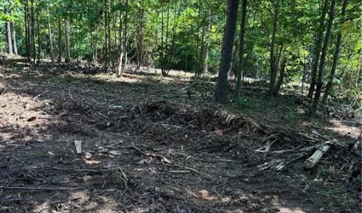 Photo #21 of 8061 Stroupe Farm, Tobaccoville, NC 5.5 acres