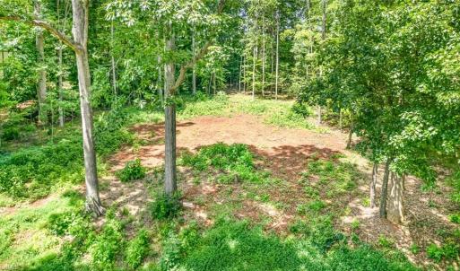 Photo #5 of 171 Lakeview, Mocksville, NC 0.8 acres