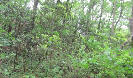 Photo #14 of SOLD property in 5216 Lunar Drive, Kitty Hawk, NC 0.3 acres