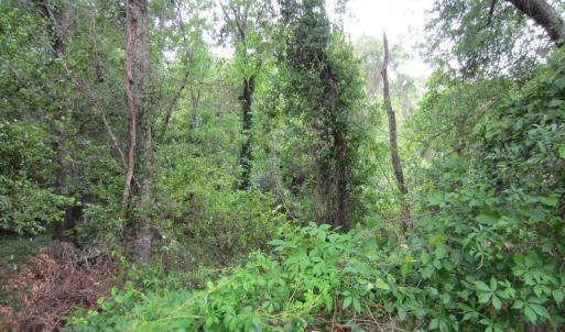 Photo #3 of SOLD property in 5216 Lunar Drive, Kitty Hawk, NC 0.3 acres