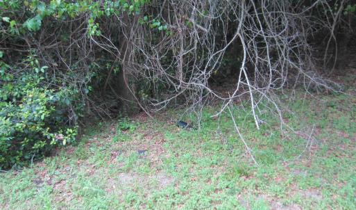 Photo #4 of SOLD property in 5216 Lunar Drive, Kitty Hawk, NC 0.3 acres