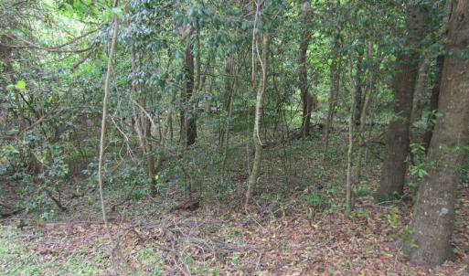 Photo #5 of SOLD property in 5216 Lunar Drive, Kitty Hawk, NC 0.3 acres