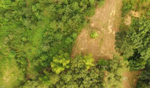 Photo #6 of Mulberry Academy, Franklinville, NC 33.5 acres