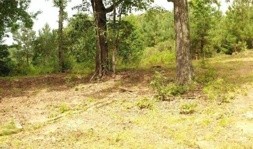 Photo #17 of Mulberry Academy, Franklinville, NC 33.5 acres
