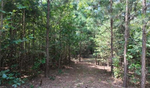 Photo #16 of Mulberry Academy, Franklinville, NC 33.5 acres