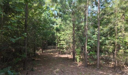 Photo #12 of Mulberry Academy, Franklinville, NC 33.5 acres