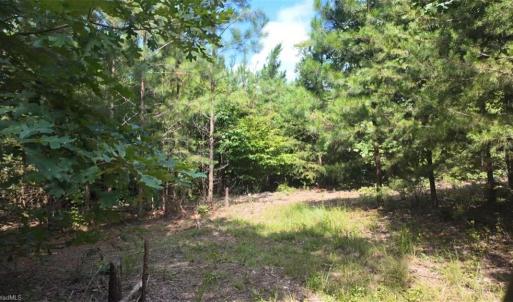 Photo #22 of Mulberry Academy, Franklinville, NC 33.5 acres