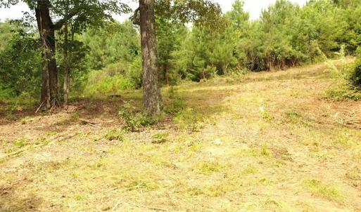 Photo #7 of Mulberry Academy, Franklinville, NC 33.5 acres