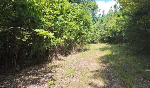 Photo #3 of Mulberry Academy, Franklinville, NC 33.5 acres