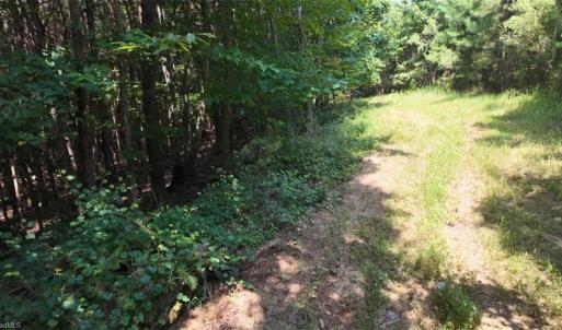 Photo #28 of Mulberry Academy, Franklinville, NC 33.5 acres