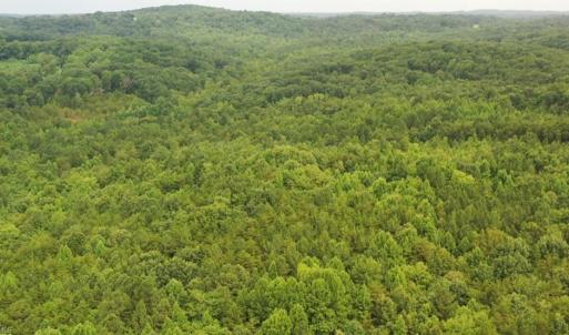 Photo #5 of Mulberry Academy, Franklinville, NC 33.5 acres