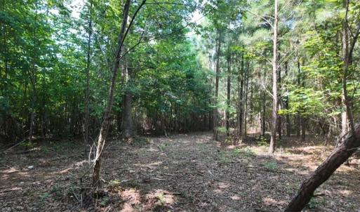 Photo #9 of Mulberry Academy, Franklinville, NC 33.5 acres