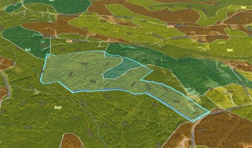 Photo #10 of Mulberry Academy, Franklinville, NC 33.5 acres