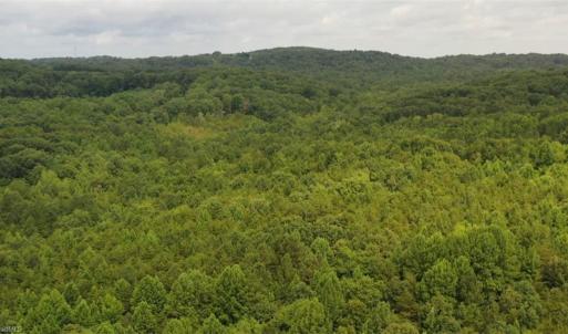 Photo #14 of Mulberry Academy, Franklinville, NC 33.5 acres