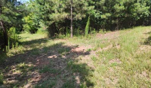 Photo #11 of Mulberry Academy, Franklinville, NC 33.5 acres