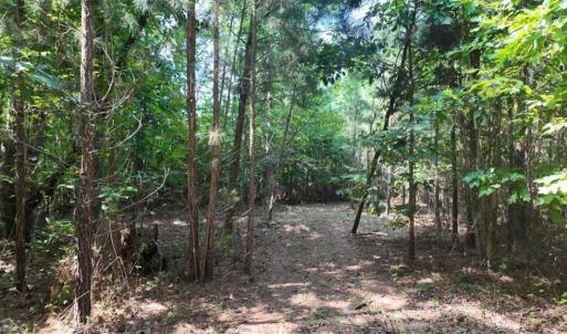 Photo #19 of Mulberry Academy, Franklinville, NC 33.5 acres