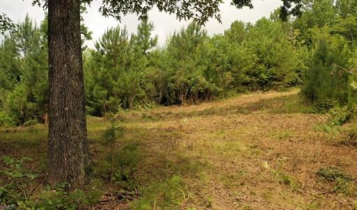 Photo #21 of Mulberry Academy, Franklinville, NC 33.5 acres