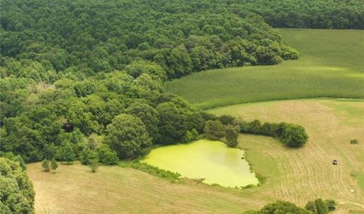 Photo #23 of 3037 Deep River Church, Ramseur, NC 34.5 acres