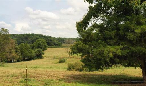 Photo #2 of 3037 Deep River Church, Ramseur, NC 34.5 acres