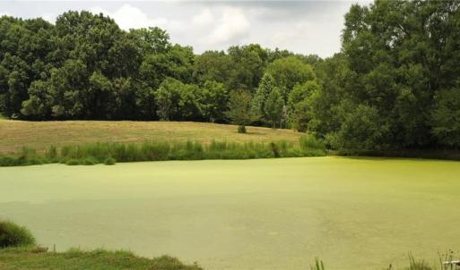 Photo #17 of 3037 Deep River Church, Ramseur, NC 34.5 acres