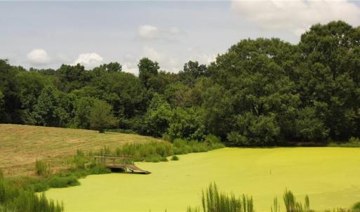 Photo #16 of 3037 Deep River Church, Ramseur, NC 34.5 acres