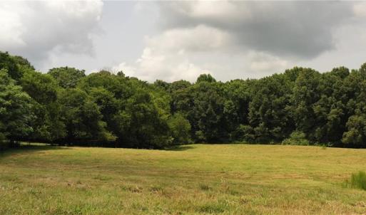Photo #12 of 3037 Deep River Church, Ramseur, NC 34.5 acres