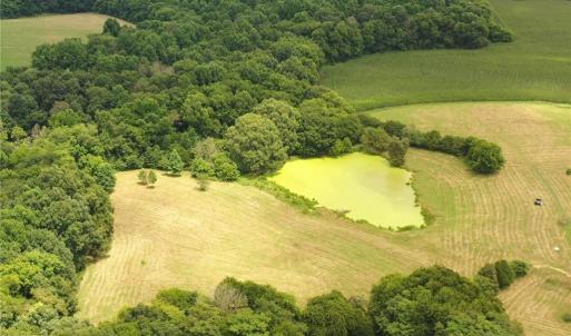 Photo #26 of 3037 Deep River Church, Ramseur, NC 34.5 acres