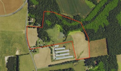Photo #3 of 3037 Deep River Church, Ramseur, NC 34.5 acres