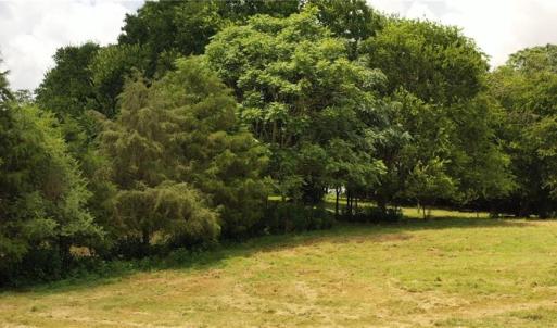 Photo #24 of 3037 Deep River Church, Ramseur, NC 34.5 acres