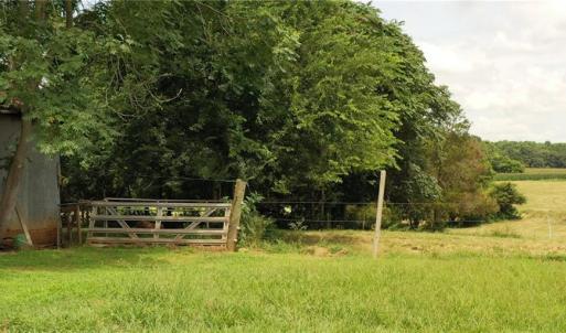 Photo #30 of 3037 Deep River Church, Ramseur, NC 34.5 acres